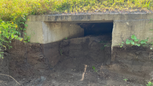 Box Culvert Completely Blocked